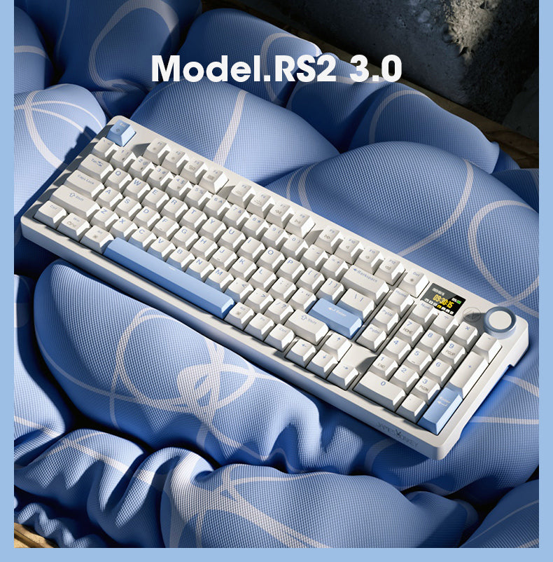 RS2 3.0 White Blue